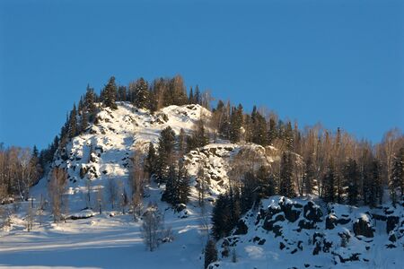 Beautiful winter landscape with snow covered trees, Altayの写真素材