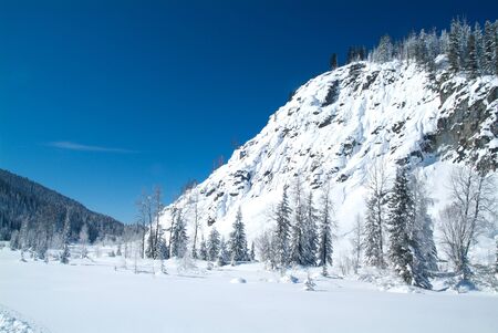 Beautiful winter landscape with snow covered trees, Altayの写真素材