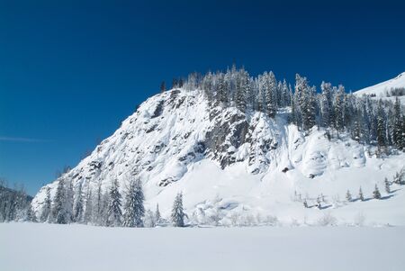 Beautiful winter landscape with snow covered trees, Altayの写真素材