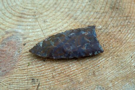 Ancient stone knife on a cut tree, Russia