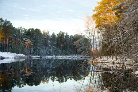 Symmetrical reflection in water Autumn snowy forest, Altaiの写真素材