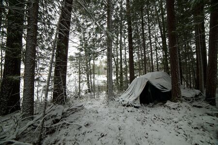 Archaeological camp in the Altai region of manufactured excavations, Russiaの写真素材