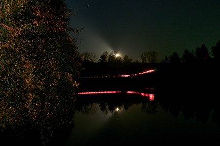 Driving a car on a night road in the forestの写真素材
