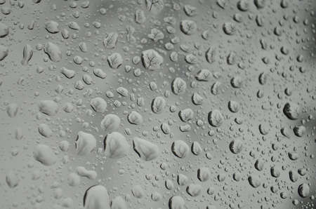 drops after rain on glass