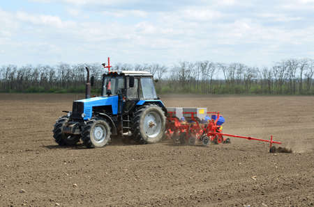 spring sowing in the field