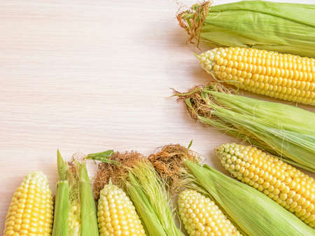 Kachan ripe juicy of corn of grainsの写真素材