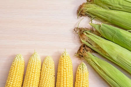 Kachan ripe juicy of corn of grains