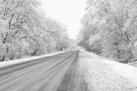 winter snow-covered road through the forestの写真素材