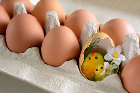 several chicken eggs in a carton and chicken in shell