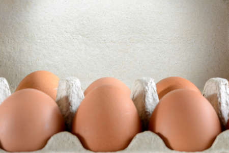several chicken eggs in a cartonの写真素材