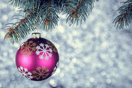 Christmas balls and Christmas tree branchesの写真素材
