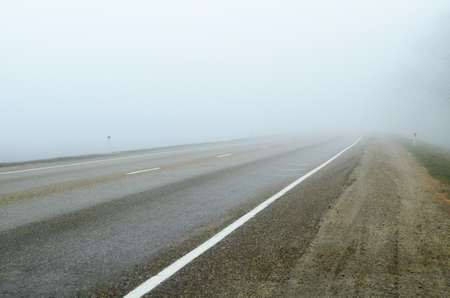 thick fog on the road