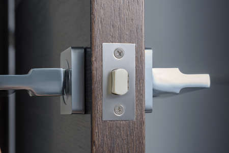 metal handle on a wooden door