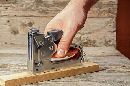 carpenter works as a stapler