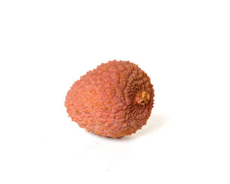 one litchi on whiteの写真素材