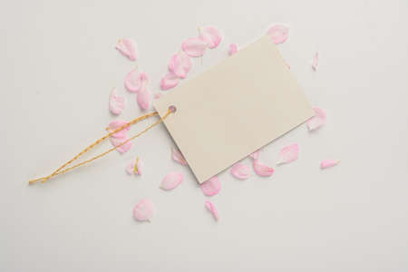 the tag lies on the petals of flowersの写真素材