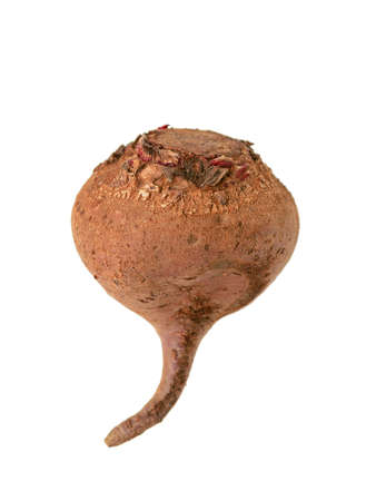 red beetroot for cooking on whiteの写真素材