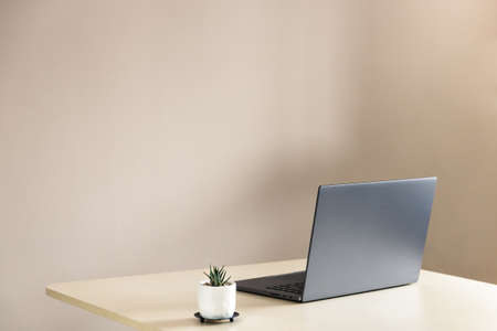 Beautiful side view of a laptop and a succulent plant on a desk. Concept of minimalismの写真素材