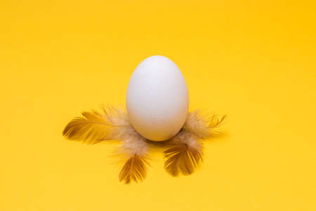 one egg and feathers on yellow background. easter concept design for advertiseの写真素材