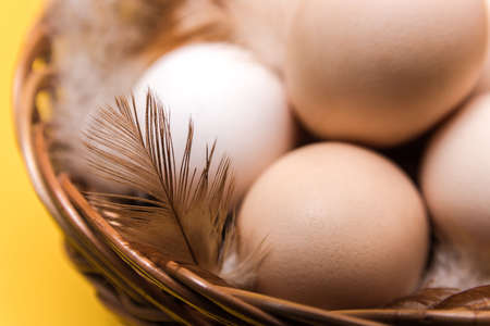 close up view of natural ecological eggs and feather in a wicker basket on yellow background with...