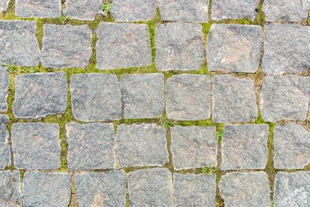 grey stone background from old square paver bricks and green grass between them for designs.