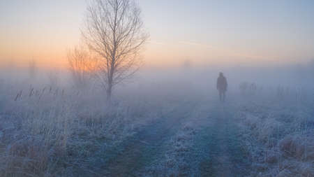 a hunter with a gun goes on the hunt in the misty morning. fog over the field at dawnの写真素材