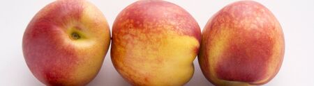Sweet juicy nectarrine fruit on white backgroundの写真素材
