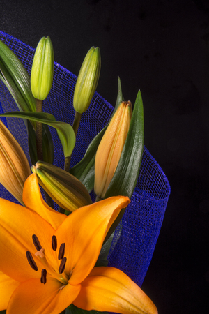 Beautiful orange lily flower on black background, lilisの写真素材