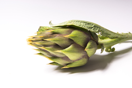 Spiny artichokes of Sardegna, healthy Italian organic agricultureの写真素材