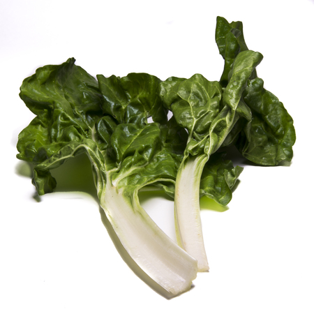 Silver swiss chard, silverbeet leaves on white backgroundの写真素材