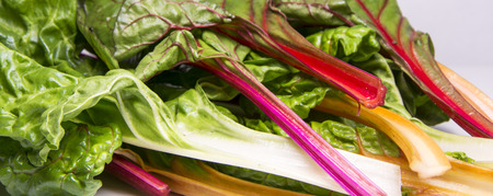 Rainbow swiss chard, mangold beetroot leaves, vegetarian organic healthy foodの写真素材