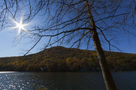 Beautiful fall colors by the forest lake.