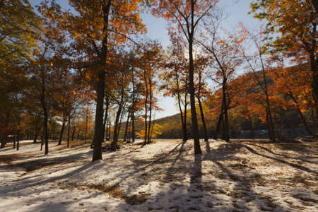Beautiful Fall scenery in New York, USA.の写真素材