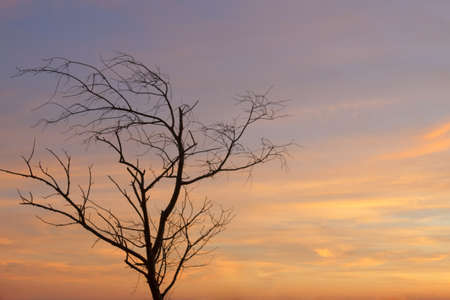 Beautiful natural colors of sunset.の写真素材