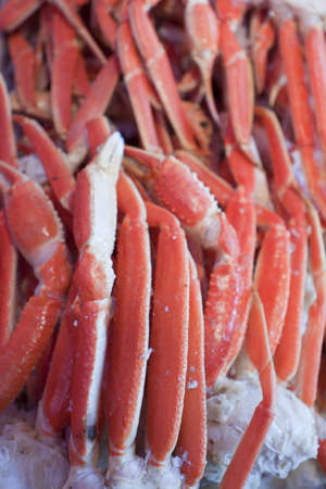 Crabs on displat at the seafood market.の写真素材
