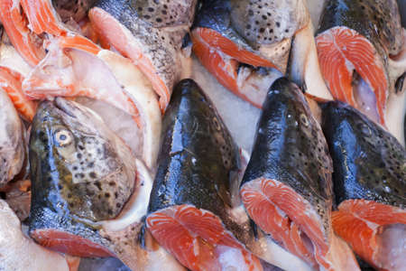 Fresh catch of fish at the seafood market.の写真素材