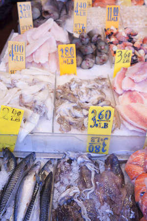 Fresh catch of fish at the seafood market.のeditorial素材