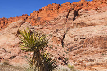 View of dry landscape and red rock formations of the Red Rock Canyon in the Mojave Desert.の写真素材