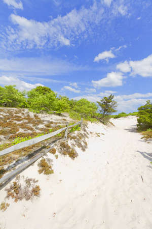 Sand dunes on the beachの写真素材