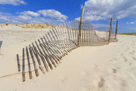 Sand dunes on Atlantic coast with a fence.の写真素材
