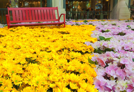 Beautiful flowers in the garden の写真素材