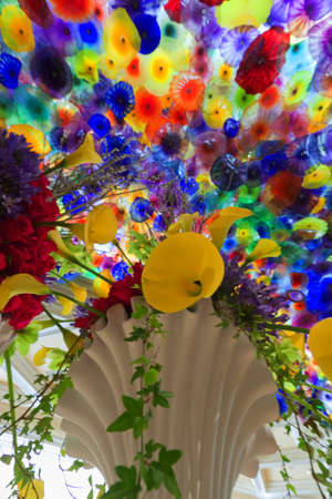 Beautiful flowers in the garden.の写真素材