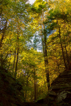 Colorful fall scenery landscapes.の写真素材