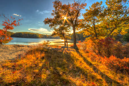 Colorful fall scenery landscapes.の写真素材