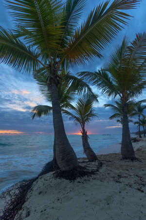 Sunrise  on the tropical Caribbean beach.の写真素材