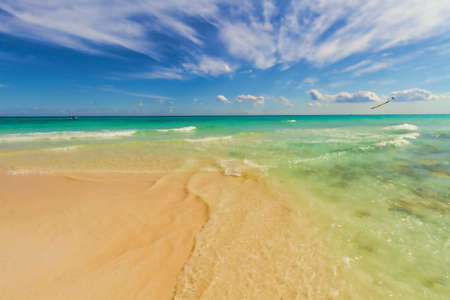 View of the pristine tropical beach.の写真素材