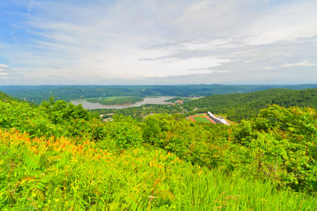 Grassy landscapeの写真素材