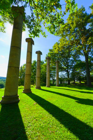 Tree landscapeの写真素材