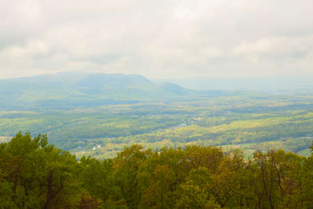 Tree landscapeの写真素材