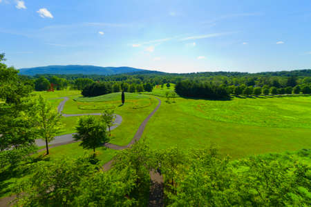Grassy landscape